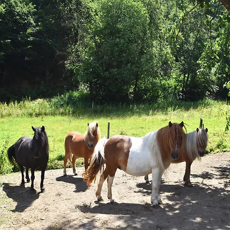 Sonnige In Huddingen In Waldnaehe