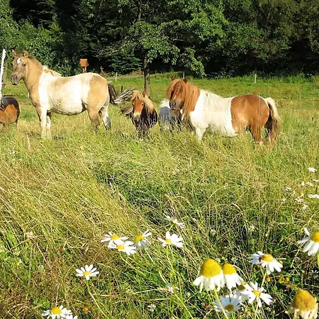 Sonnige In Huddingen In Waldnaehe Apartmán