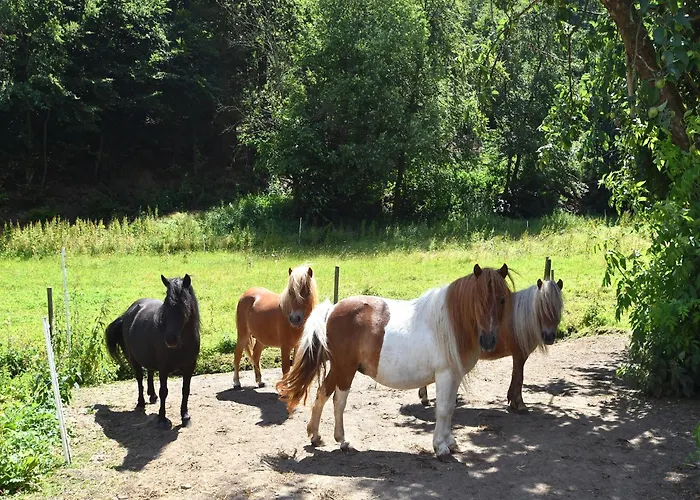 Sonnige In Huddingen In Waldnaehe