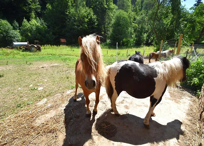 Sonnige In Huddingen In Waldnaehe Apartament *