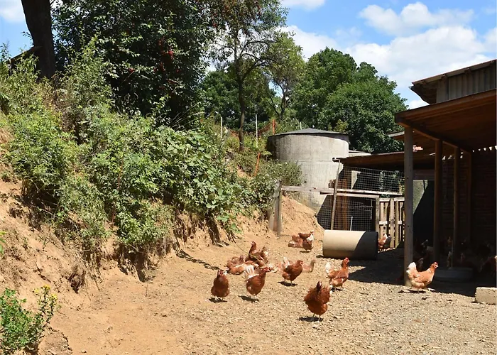 Sonnige In Huddingen In Waldnaehe Apartament *