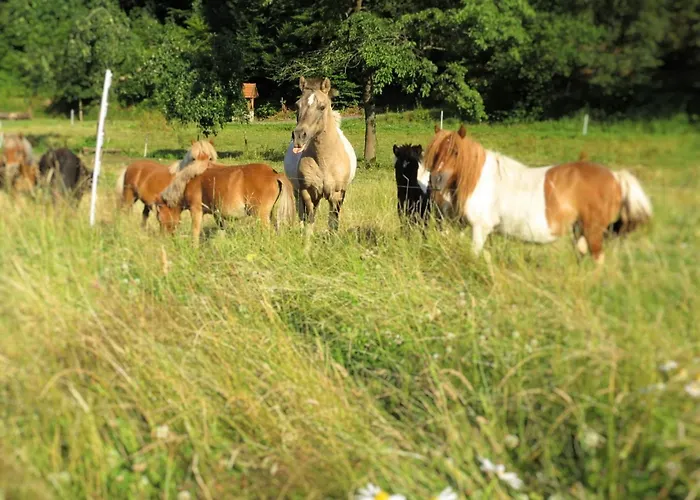 Sonnige In Huddingen In Waldnaehe Apartament
