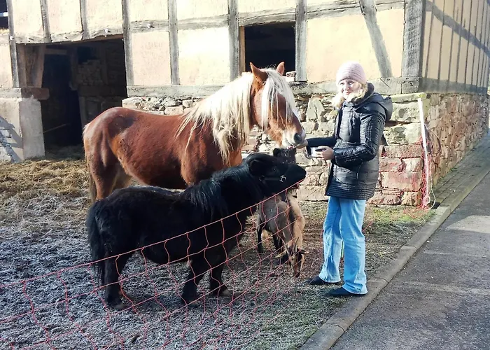 Apartament Sonnige In Huddingen In Waldnaehe Reinhardshausen